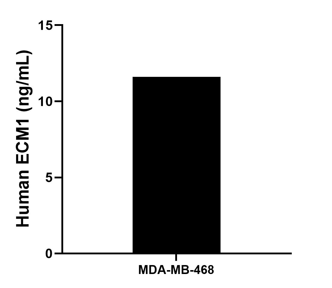 MDA-MB-468 were cultured in DMEM  supplemented with 10% fetal calf serum, 50 μM β-mercaptoethanol, 2 mM L-glutamine, 100 U/mL penicillin and 100 μg/mL streptomycin sulfate. The cell culture supernatant was removed, assayed for human ECM1, and measured 11.6 ng/mL.